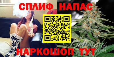 тгк Будённовск